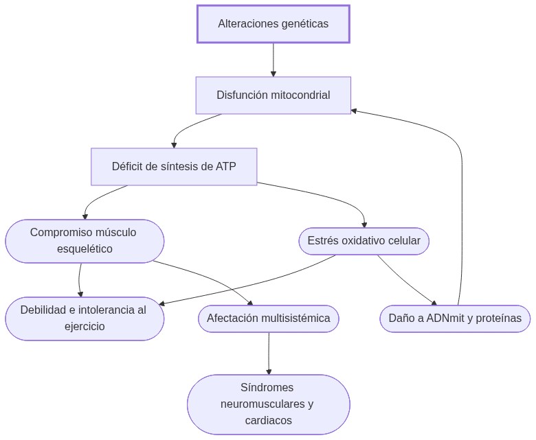 Diagrama de fisiopatologia: mutaciones afectan función de las mitocondrias causando déficit de ATP, daño muscular y manifestaciones clínicas de miopatía.