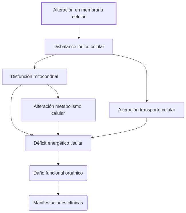 Diagrama de fisiopatologia: alteración de membrana celular produce disbalance iónico y disfunción mitocondrial que afectan metabolismo y función tisular generando manifestaciones clínicas.