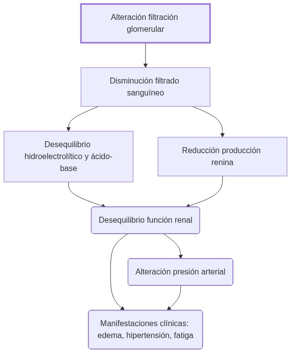 Diagrama de fisiopatologia: alteración en filtración glomerular produce disminución del equilibrio hidroelectrolítico y presión arterial que conduce a daño renal y manifestaciones clínicas.