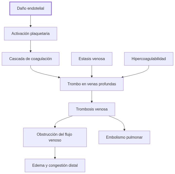 Diagrama de fisiopatologia: tromboembolismo venoso inicia con daño endotelial que activa plaquetas y coagulación, afecta venas profundas, produce trombo estable que obstruye flujo y causa embolismo pulmonar y manifestaciones clínicas.