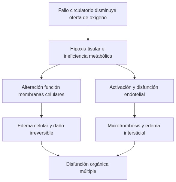 Diagrama de fisiopatologia: reducción del gasto cardíaco provoca hipoperfusión tisular que genera hipoxia celular con metabolismo anaeróbico, fallo de bombas iónicas, disfunción endotelial y finalmente disfunción multiorgánica.