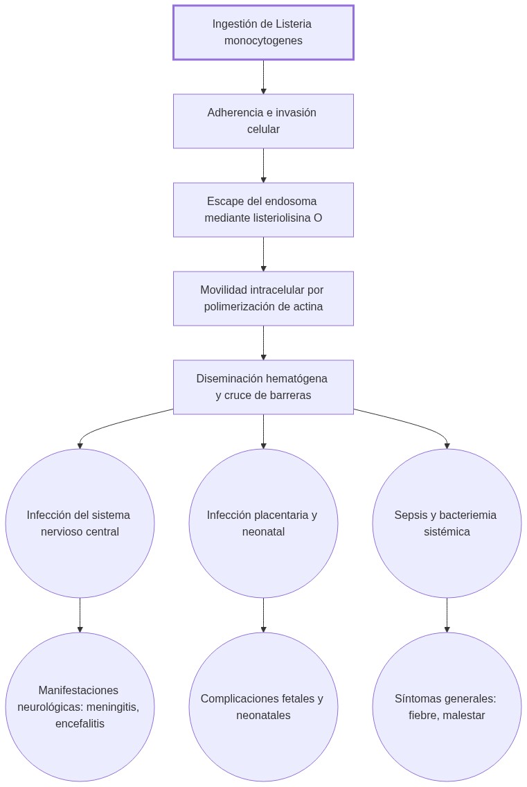 Diagrama de fisiopatologia: ingestión de Listeria causa invasión celular con escape endosomal, diseminación a cerebro y placenta, daño orgánico y produce manifestaciones clínicas variadas