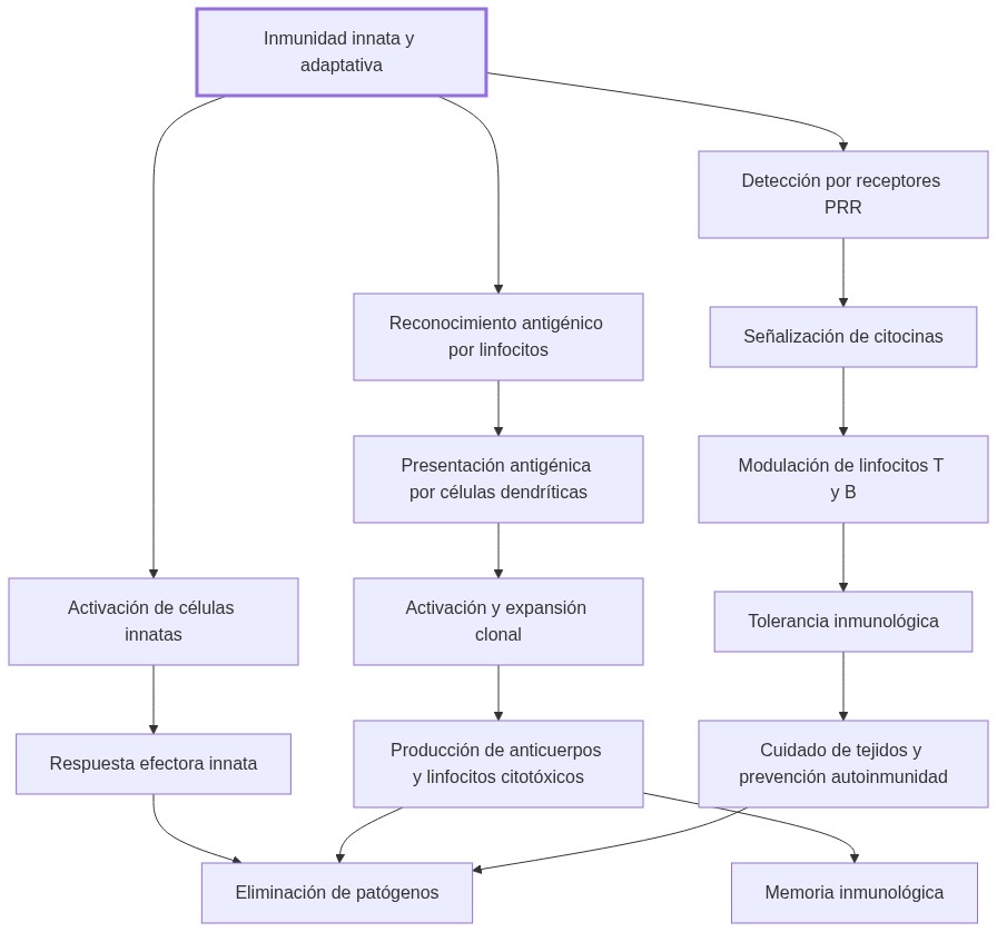 Diagrama de fisiopatologia: la inmunidad innata detecta patrones moleculares activando células efectoras, que inician respuesta adaptativa específica y memoria inmunológica, limitando daño tisular mediante tolerancia.