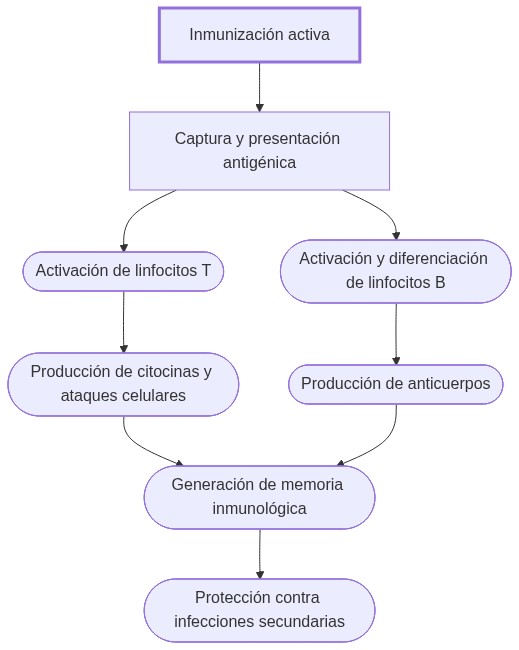Diagrama de fisiopatologia: inmunización induce activación de células presentadoras y linfocitos, generando anticuerpos y memoria inmunológica que protege contra infecciones.