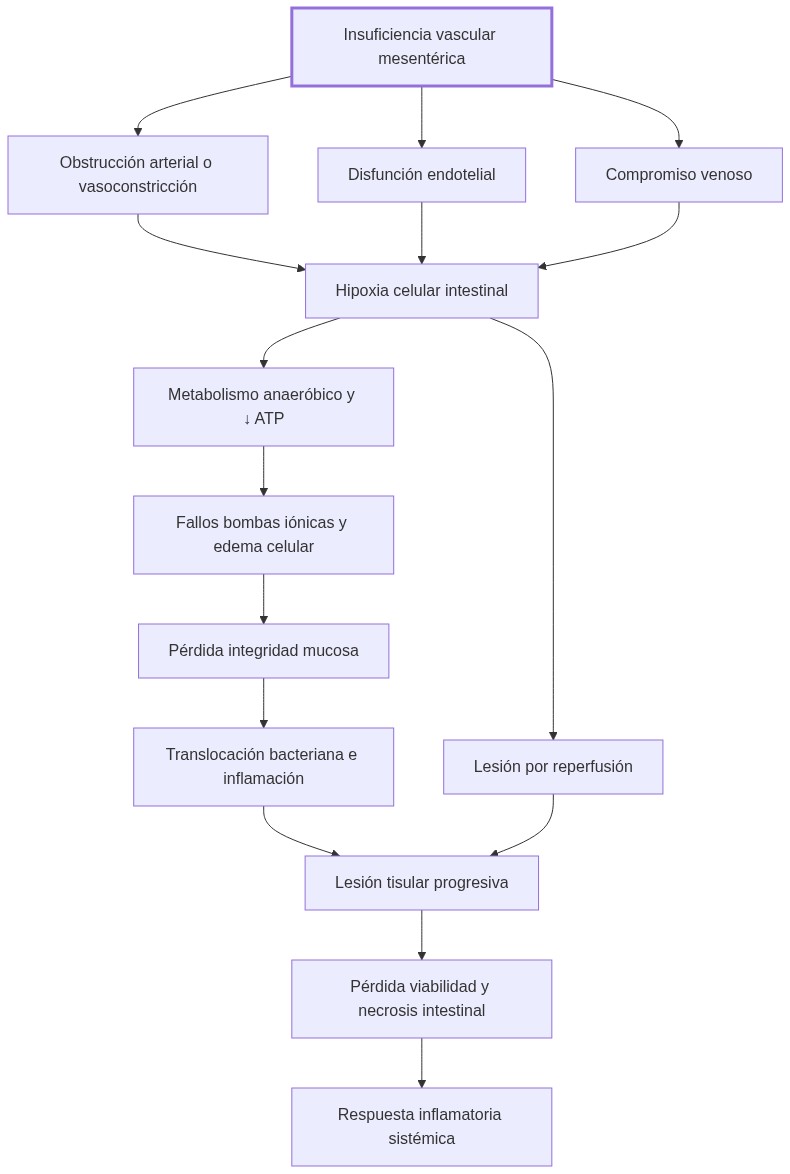 Diagrama de fisiopatologia: La insuficiencia vascular mesentérica genera obstrucción que provoca hipoxia celular, alteración de barrera mucosa e inflamación que conducen a necrosis intestinal.
