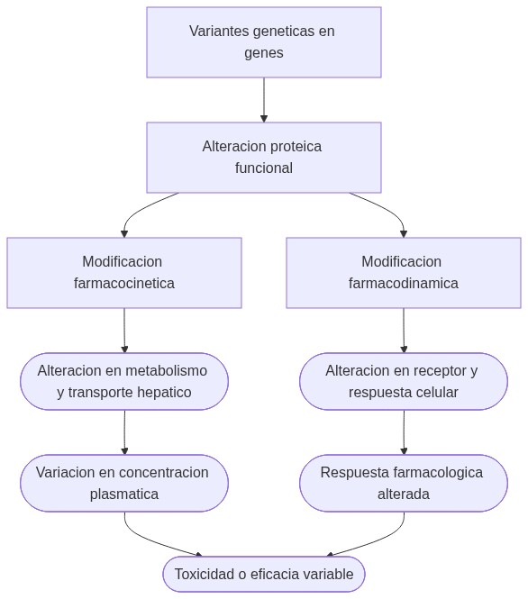 Diagrama de fisiopatologia: variaciones geneticas en genes farmacogenomicos alteran proteinas clave modificando farmacocinetica y farmacodinamia, afectando organos y produciendo manifestaciones clinicas variables.