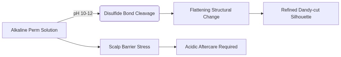 Mermaid Diagram