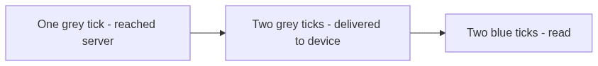 WhatsApp receipt states: one grey tick when the message reaches the server, two grey ticks when delivered to the device, two blue ticks when read