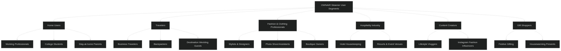 OWNAIR Handheld Garment Steamer Target Audience Diagram