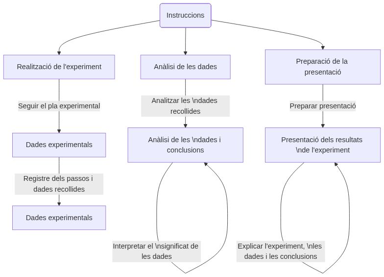 Esquema de les activitats