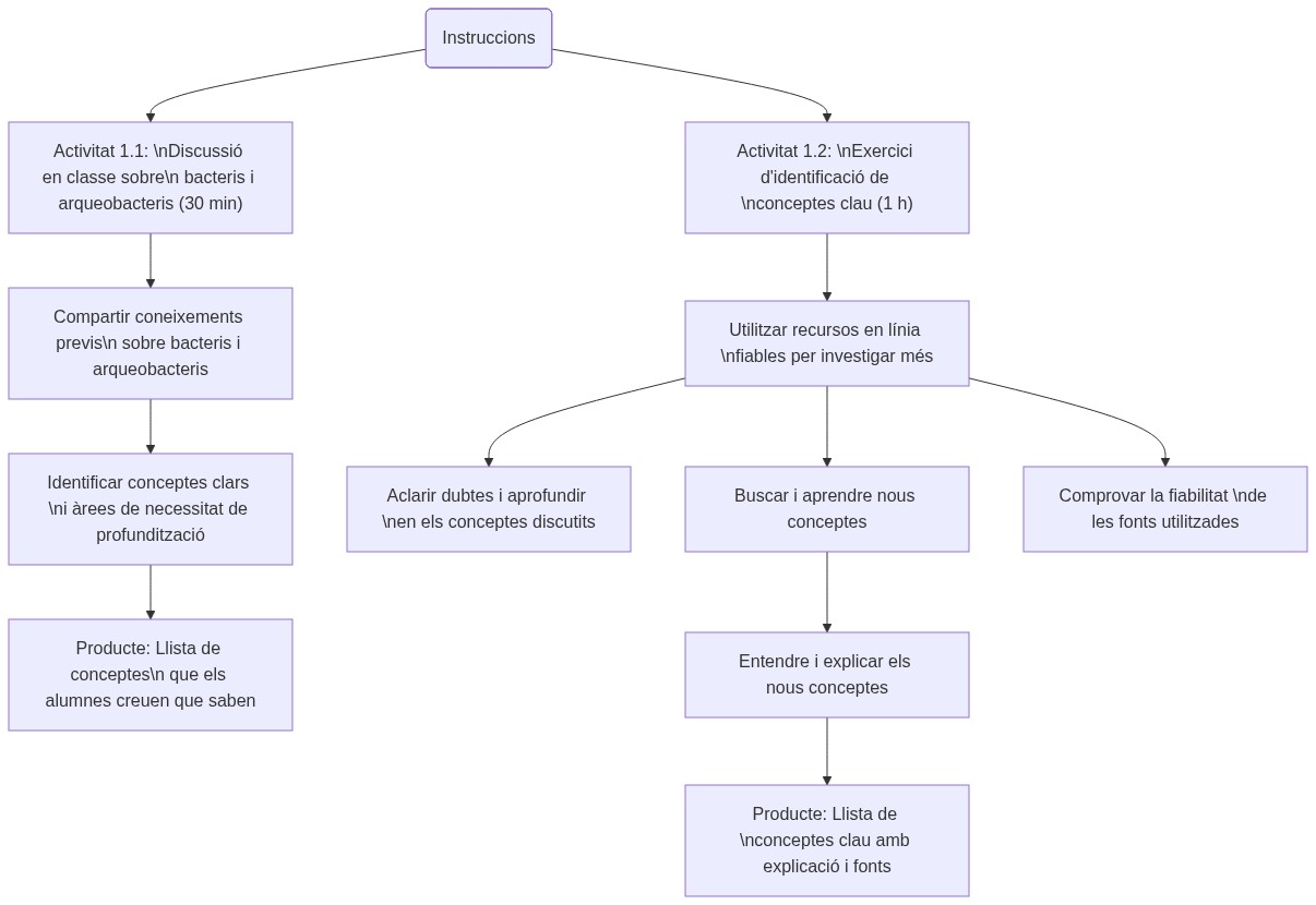 Esquema de les activitats