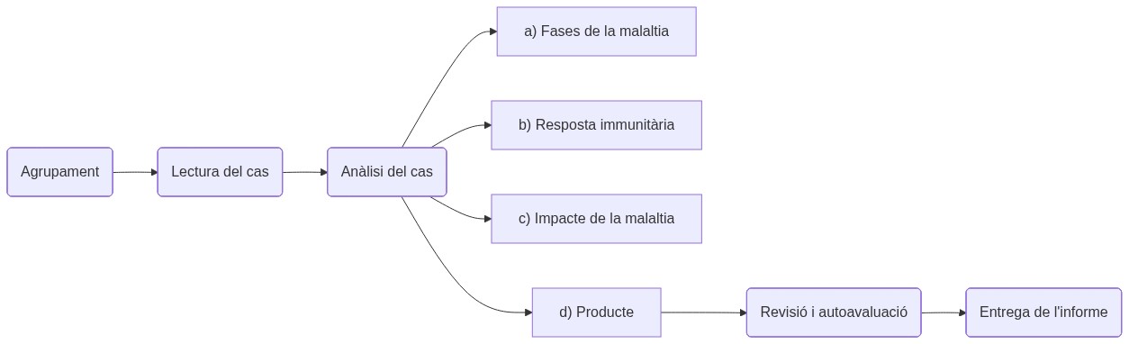 Essquema de les activitats
