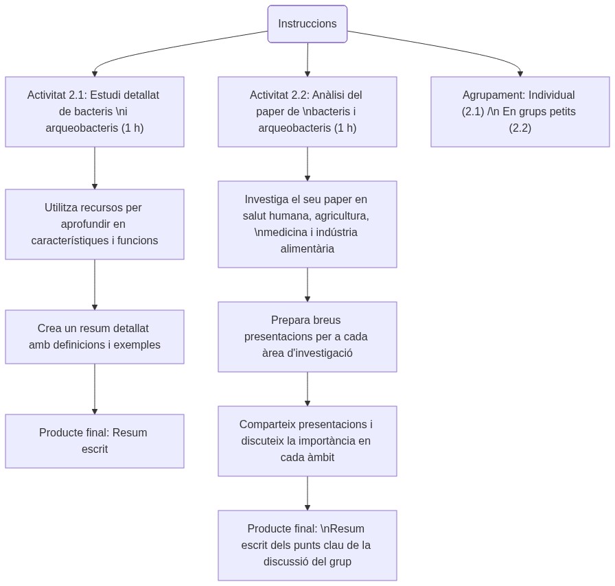 Esquema de les activitats