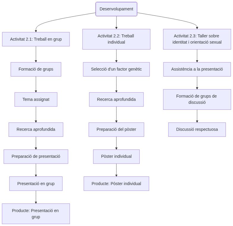 Esquema de l'activitat