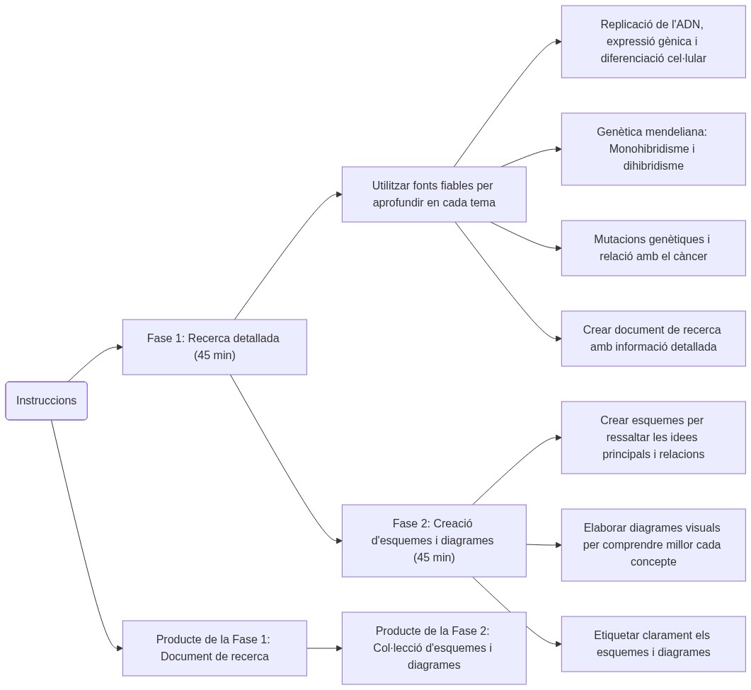 Esquema de les activitats