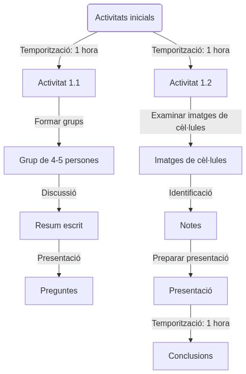 Esquema de les activitats