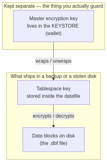 The two-level hierarchy, and why the keystore is separate. The data keys travel with the d