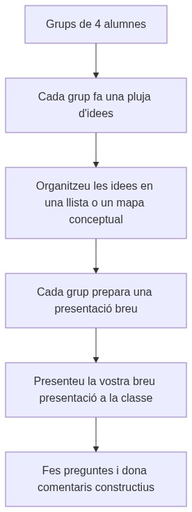 Esquema de les activitats
