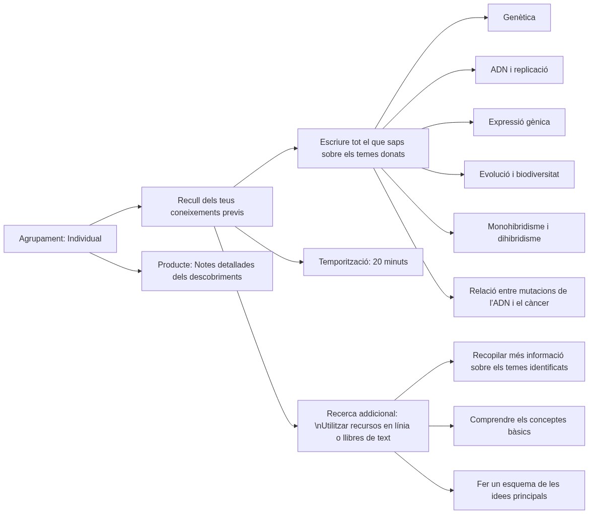 Esquema de les activitats