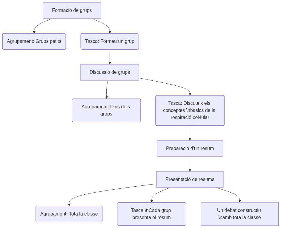 Esquema de les tasques