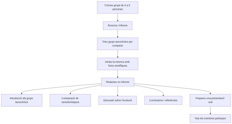 Esquema de les activitats
