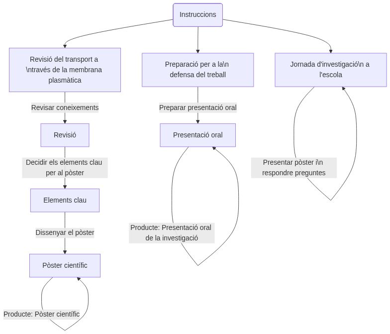 Esquiema de les activitats