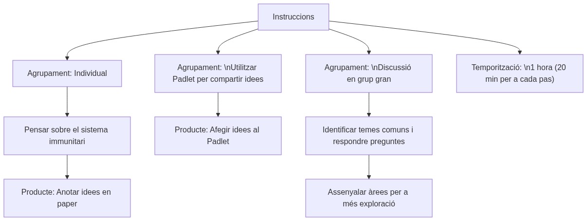 Esquema de l'activitat