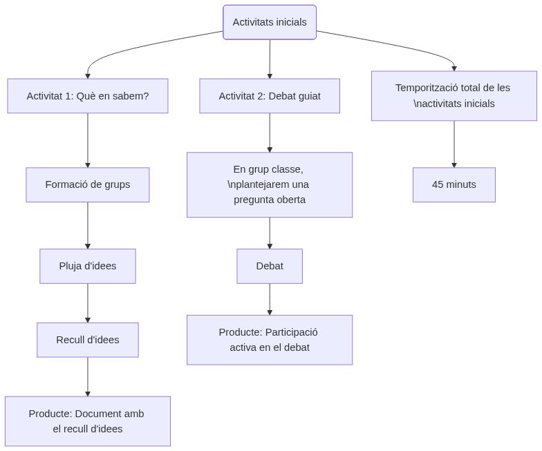 Esquema de les activitats