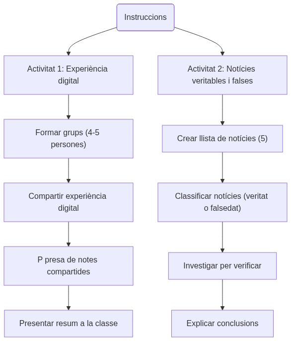 Essquema de les activitats