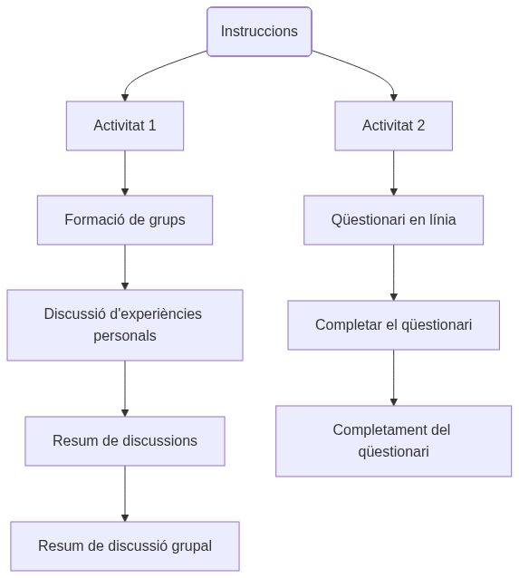 Esquema de les activitats