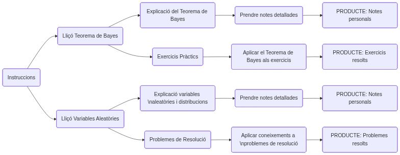 Esquema de les activitats