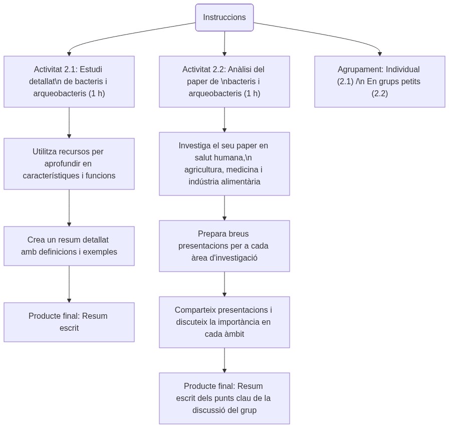 Esquema de les activitats