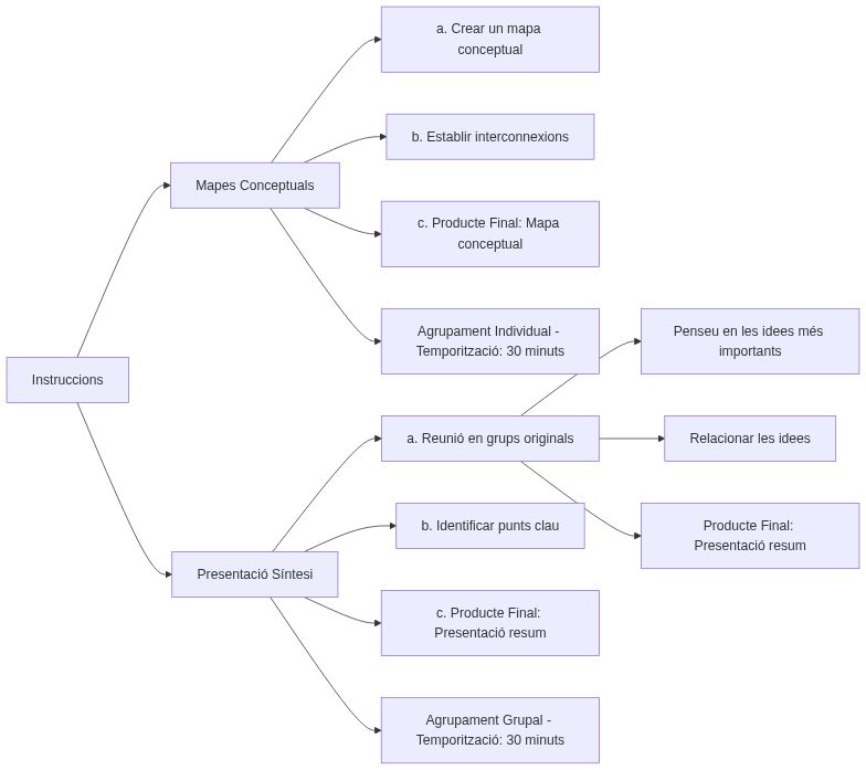 Esquema de les activitats