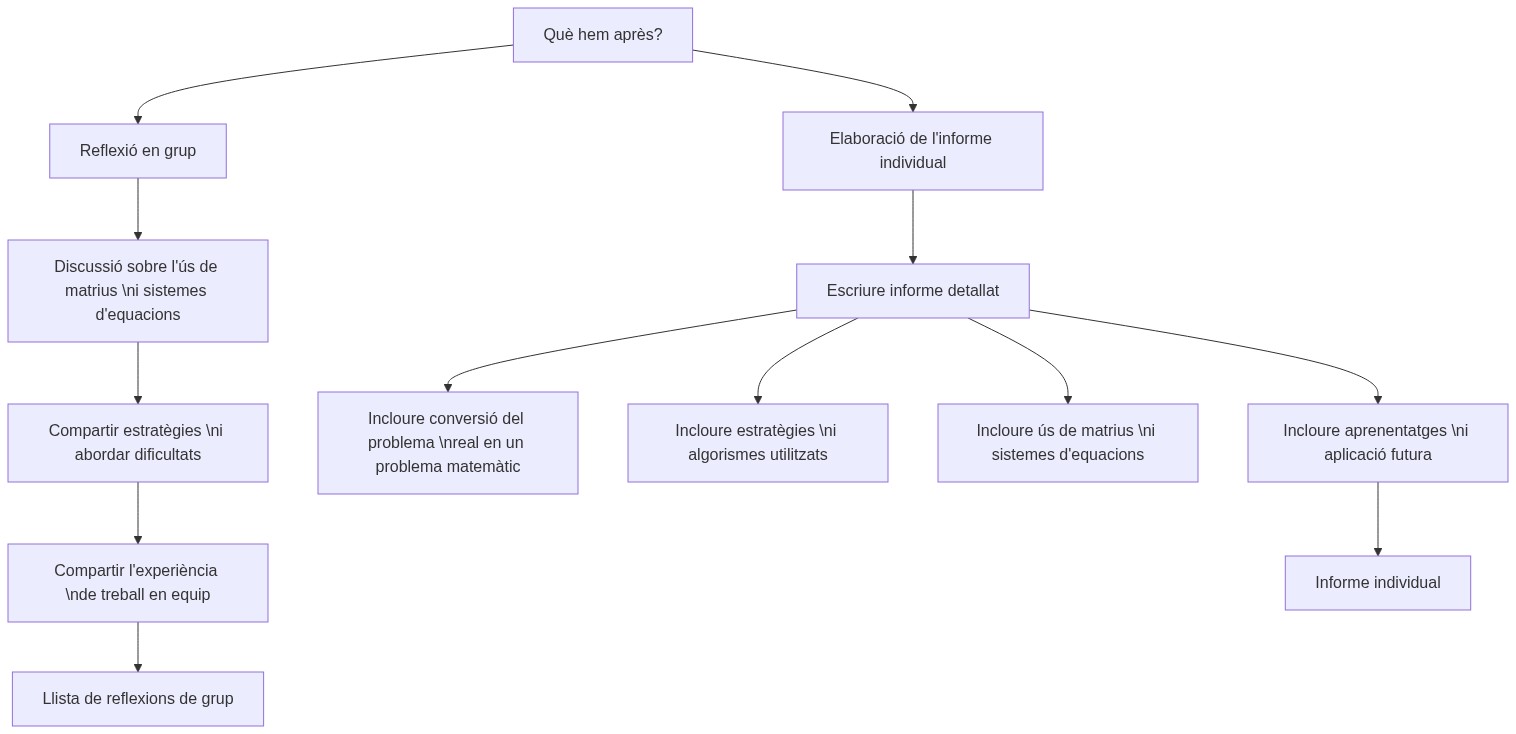 Esquema de l'activitat