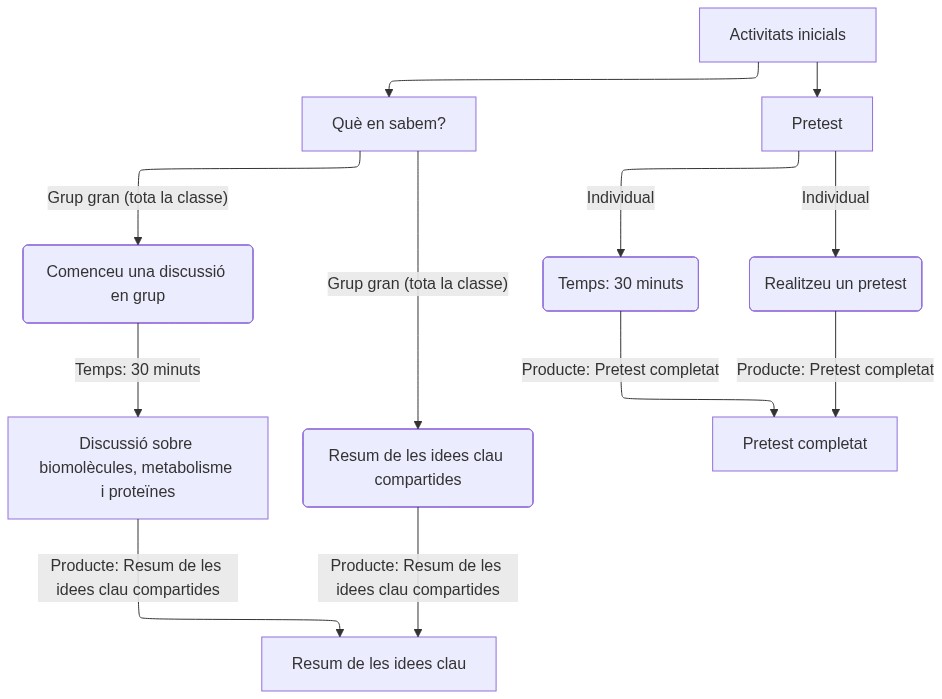 Esquema de l'activitat